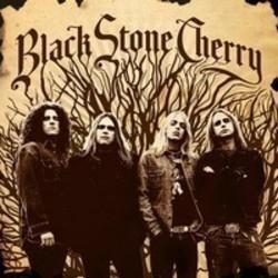 Lieder von Black Stone Cherry kostenlos online schneiden.