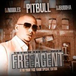 Lieder von Pitbull kostenlos online schneiden.
