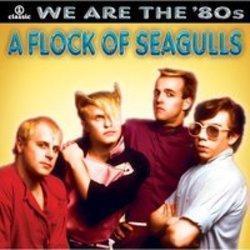 Lieder von A Flock Of Seagulls kostenlos online schneiden.