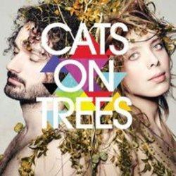 Lieder von Cats On Tree kostenlos online schneiden.